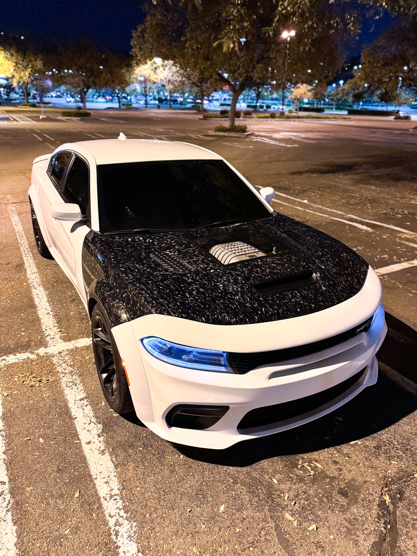 WIDE BODY CARBON FIBER FENDERS FOR DODGE CHARGER |FREE SHIPPING|