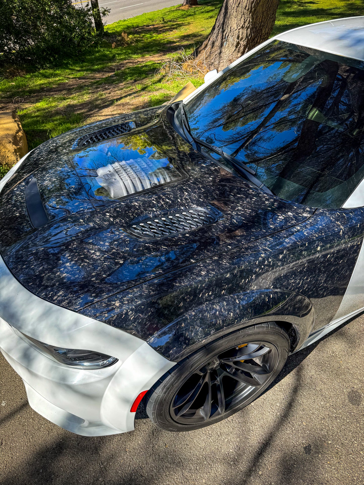 2015-2023 DODGE CHARGER HOOD