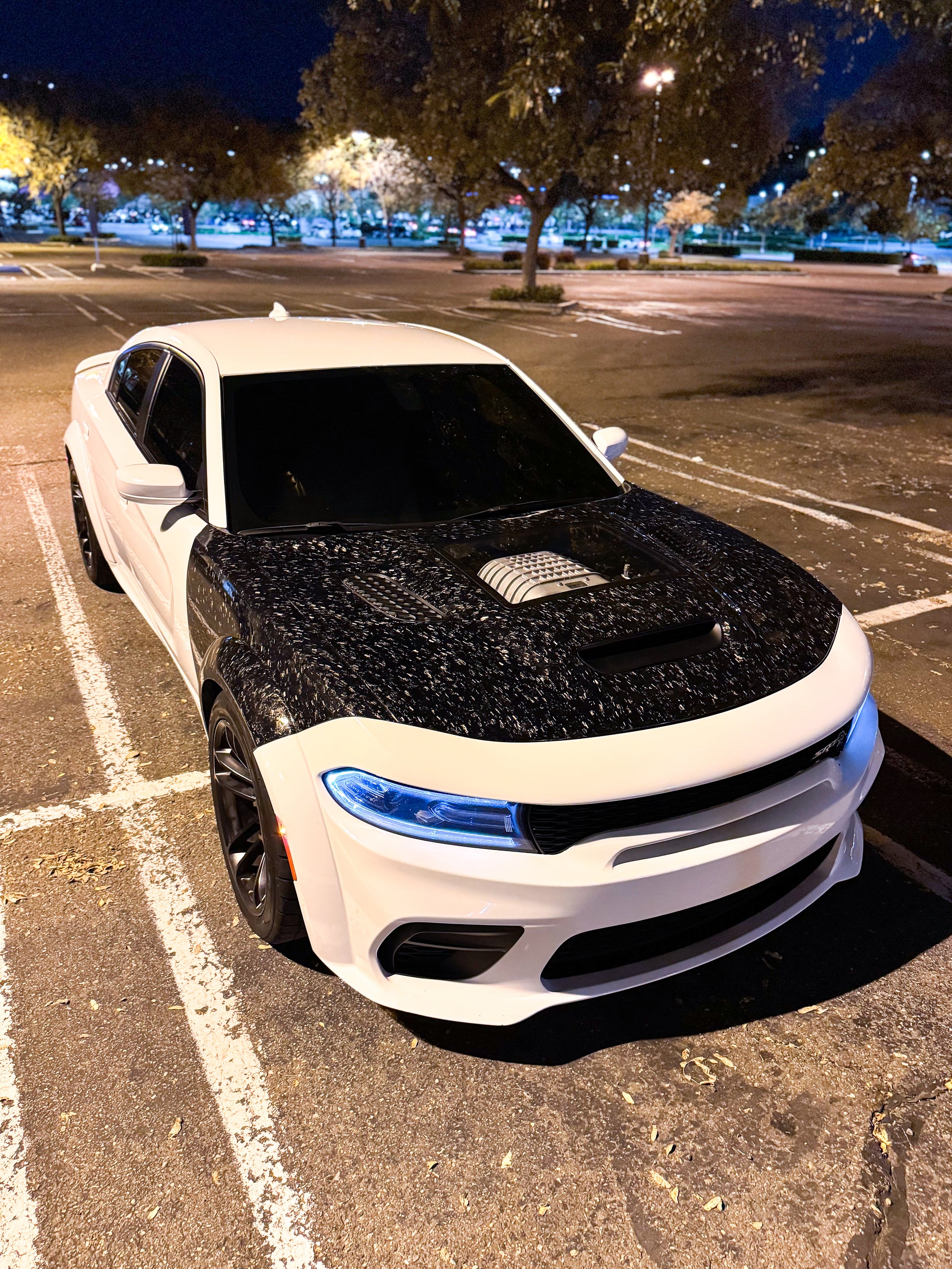 WIDE BODY CARBON FIBER FENDERS FOR DODGE CHARGER